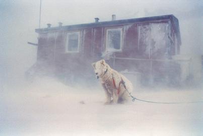 Vanishing Thule - Das Leben der Inuit im höchsten Norden Grönlands 3