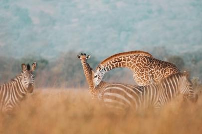 Von Namibia bis Zambia - das Leben unterwegs als Reisefotografin 2