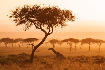 Von Namibia bis Zambia - das Leben unterwegs als Reisefotografin 4