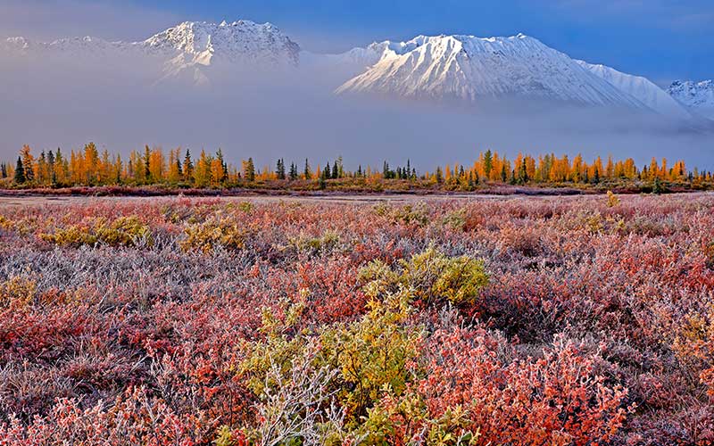 EXPLORA: ALASKA - Die letzte Wildnis