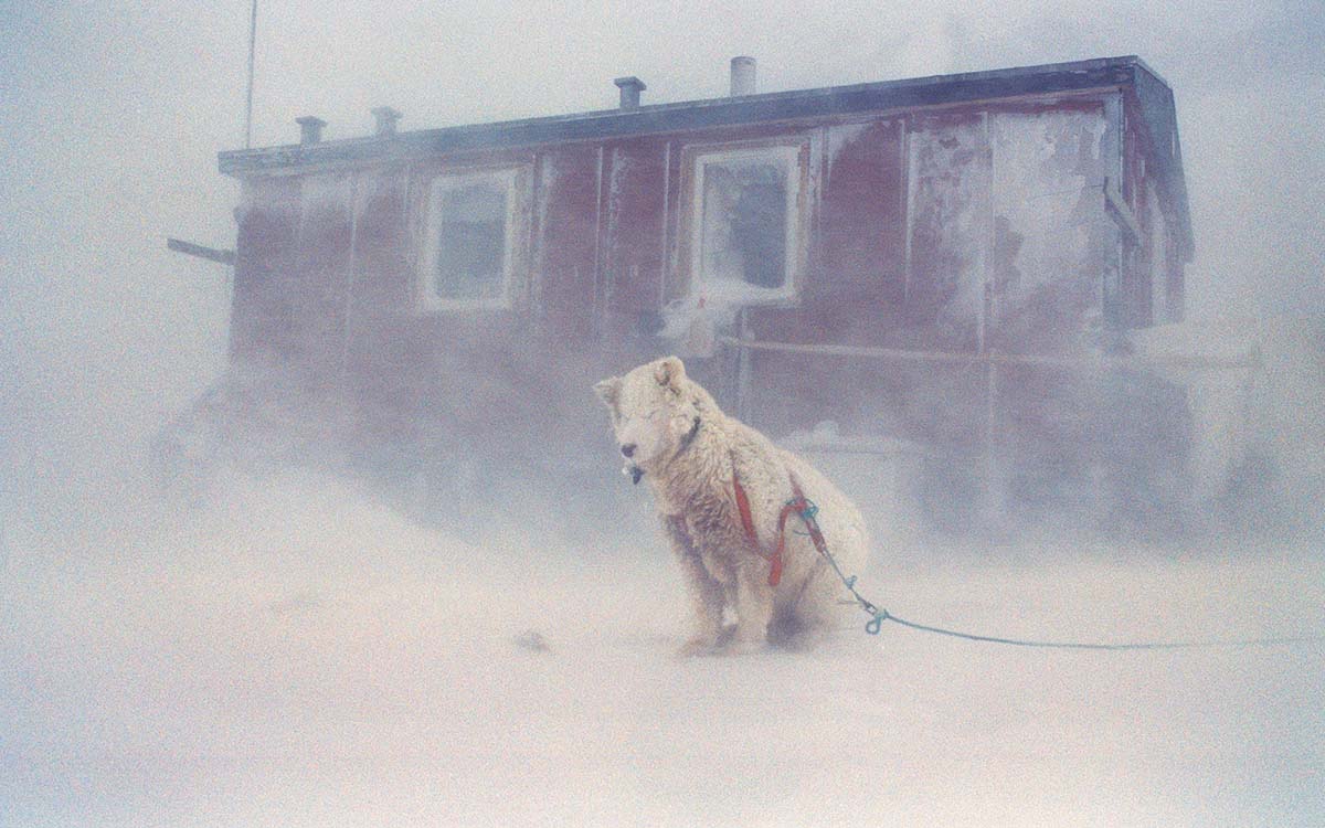 Vanishing Thule - Das Leben der Inuit im höchsten Norden Grönlands